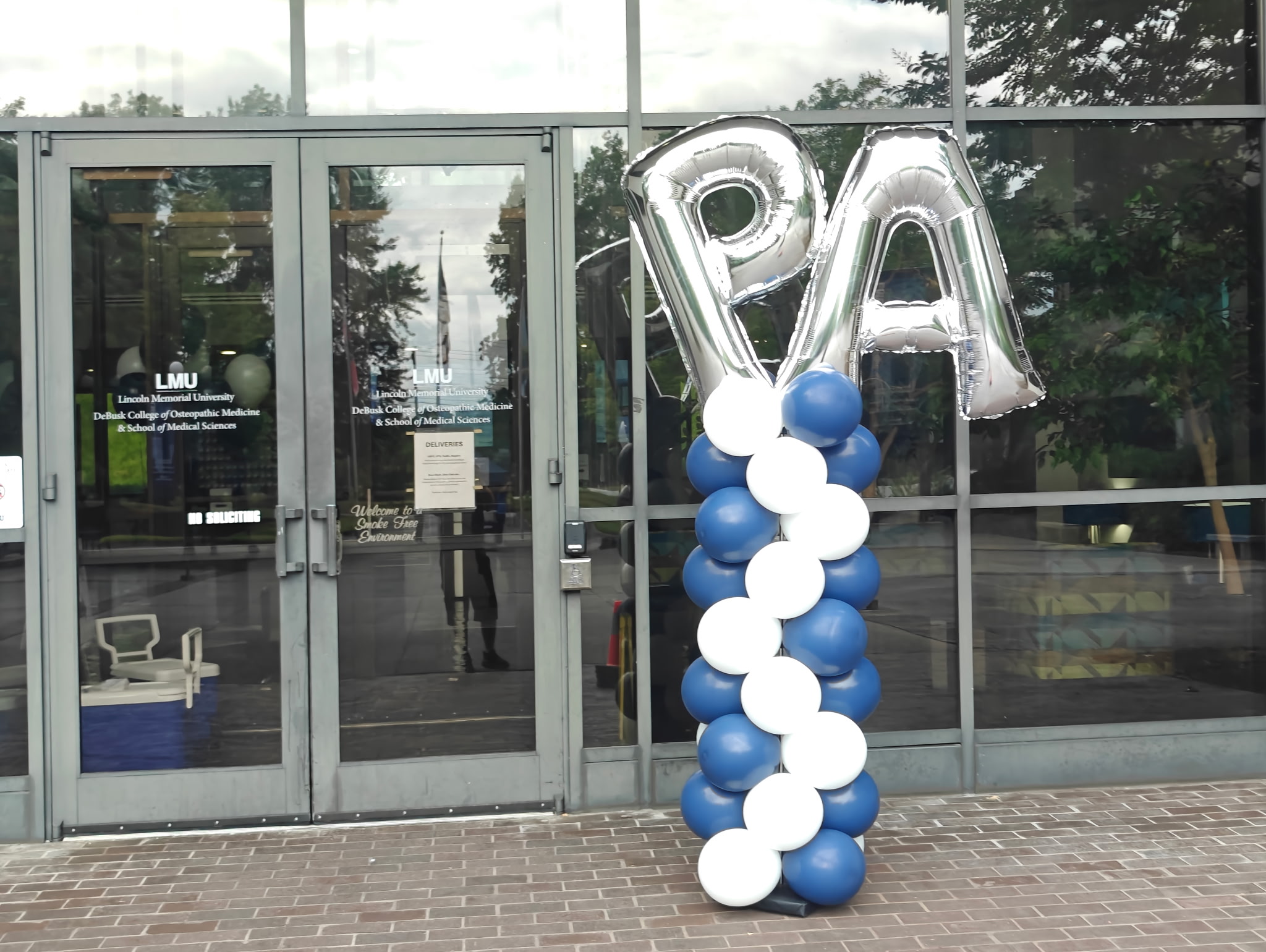 Eye-Catching Balloon Decor for LMU PA Welcome Picnic